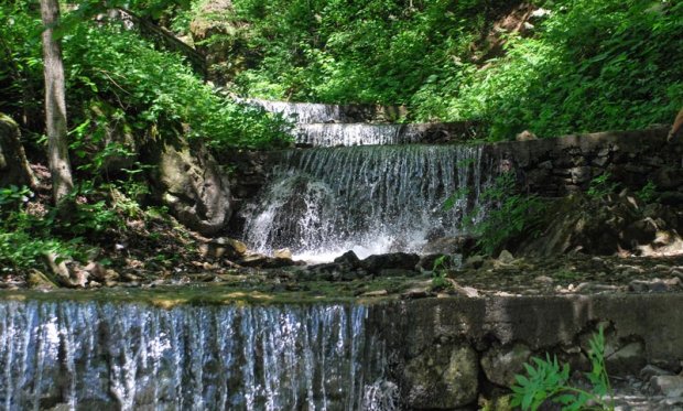 Information about Trabzon Altindere Valley National Park