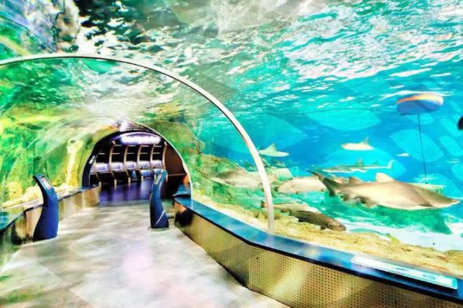 Mietwagenfirmen In Ankara: Wie Finden Sie Den Besten Service?